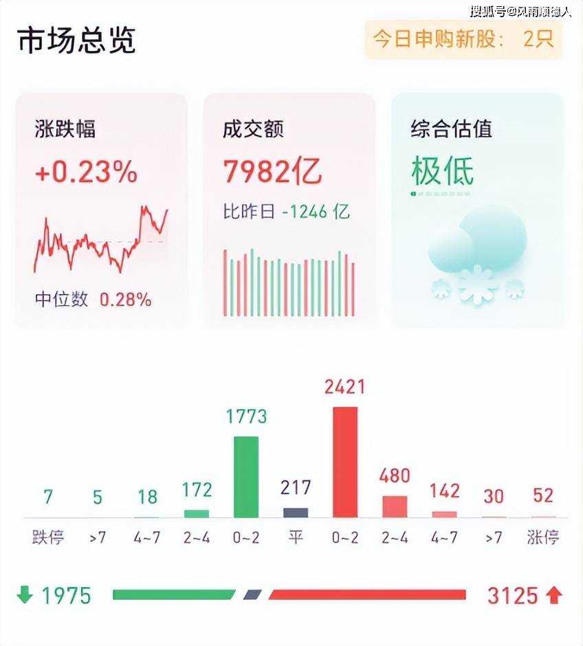 大选最新票数，揭示民意的力量与走向